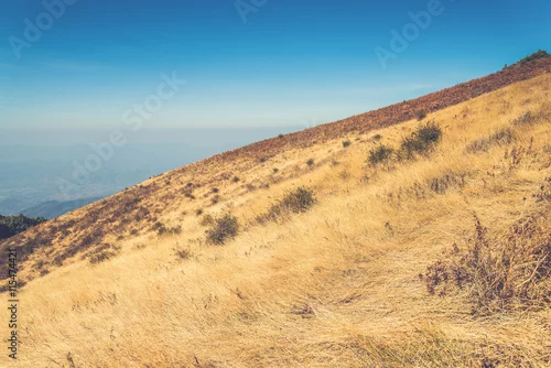 Obraz górska łąka