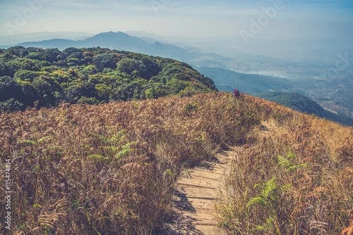 Obraz górski krajobraz z drewnianą ścieżką