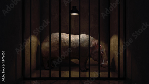 Quadro su tela hippopotamus in steel cage. 3d rendering