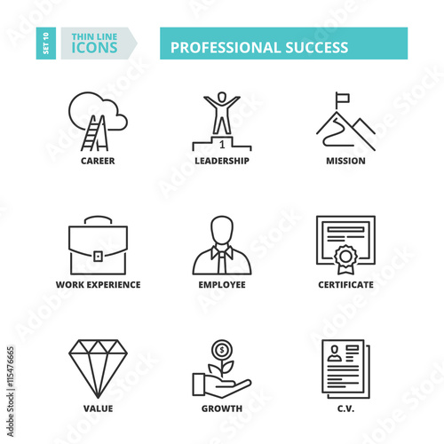 Thin line icons. Professional success