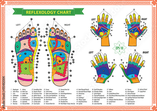 Foot and Hand reflexology chart with accurate description of the corresponding internal and body parts. Vector illustration over white background, isolated.