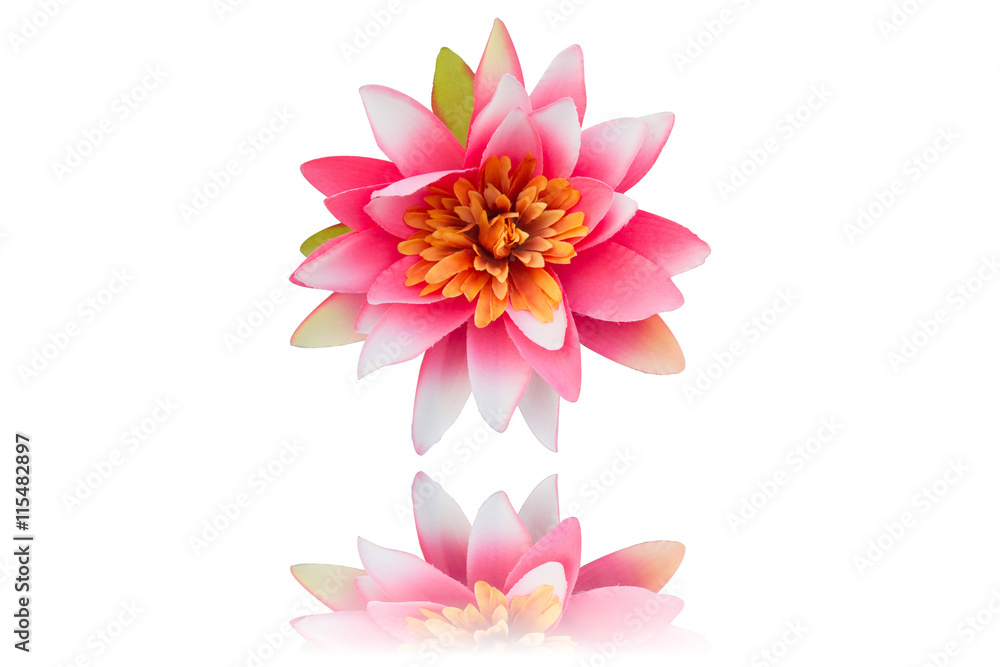 Fototapeta premium pink artificial flower on background