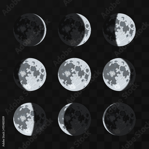 Moon phases vector set. Night moon and nature full moon illustration