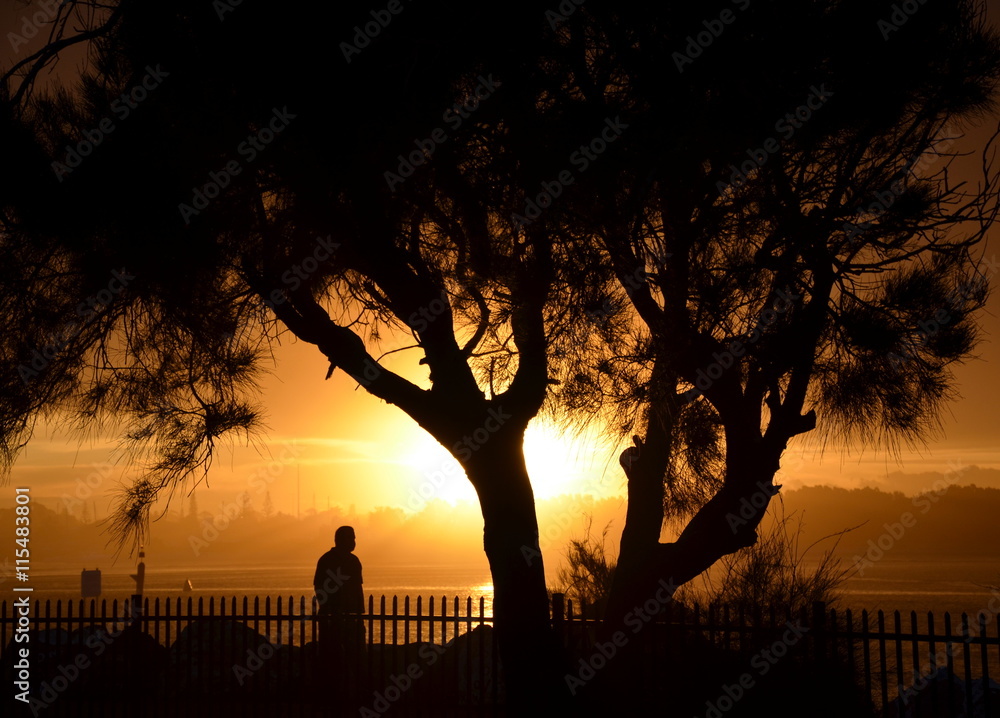 Silhouette of a man and tree shape. Shadow at sunset and sky.