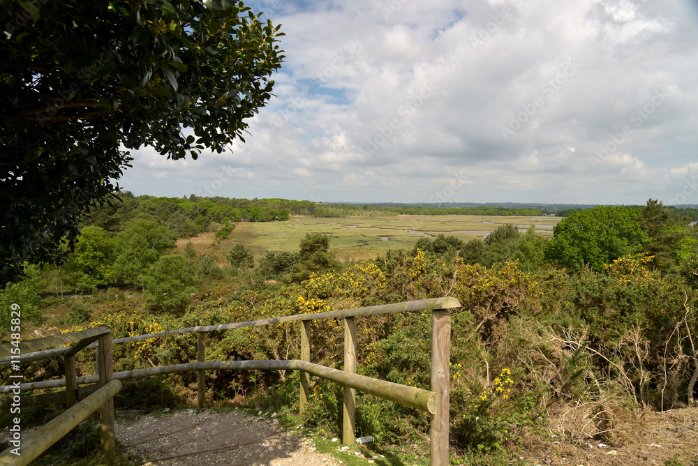 Arne Nature Reserve, Dorset Arne Nature Reserve, Dorset