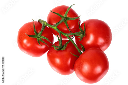 bright colorful tomatoes on the gnarled branches. isolated on white background without shadows.