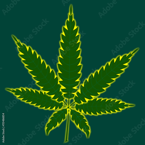 Cannabis Leaf Background