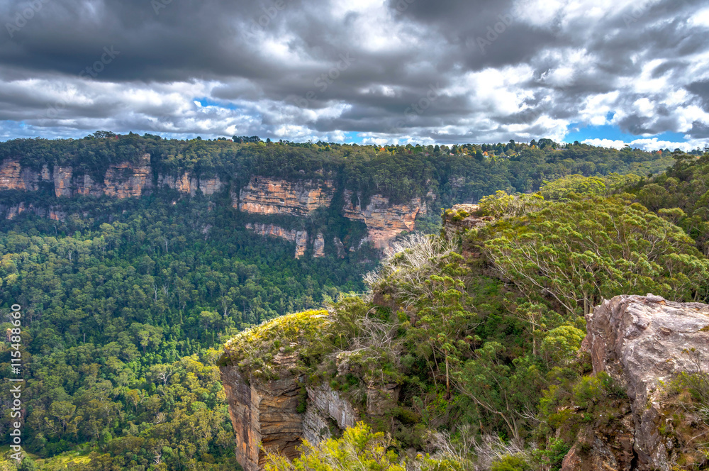 Fototapeta premium Blue mountains national park, Australia