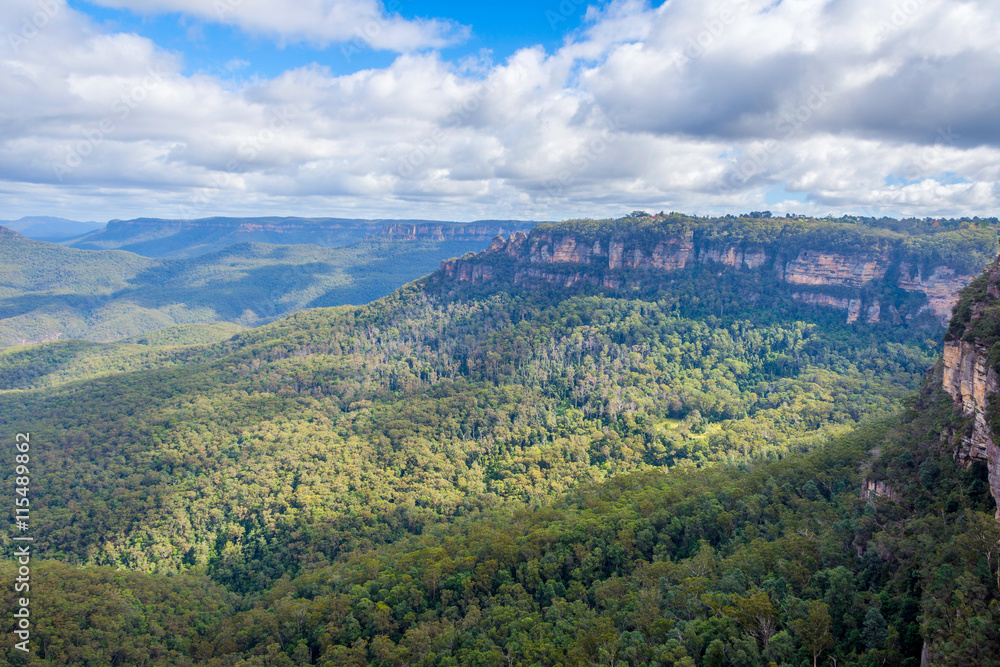 Fototapeta premium Blue mountains national park, Australia