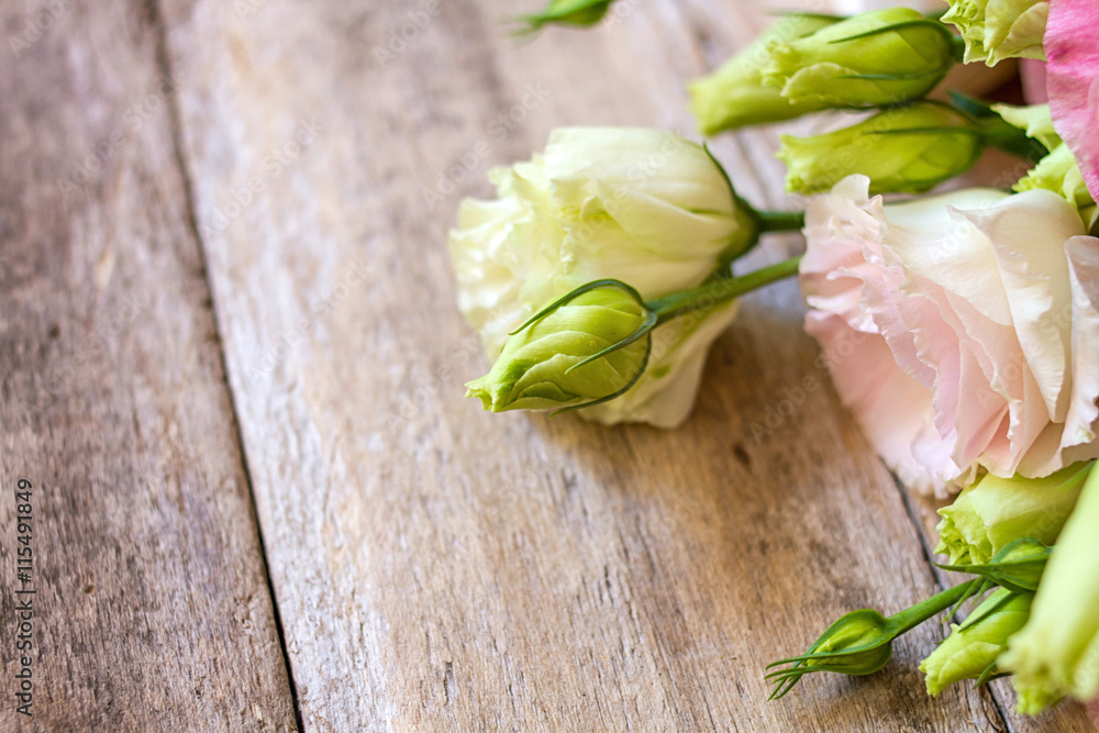 white ranunculus flowers white ranunculus flowers