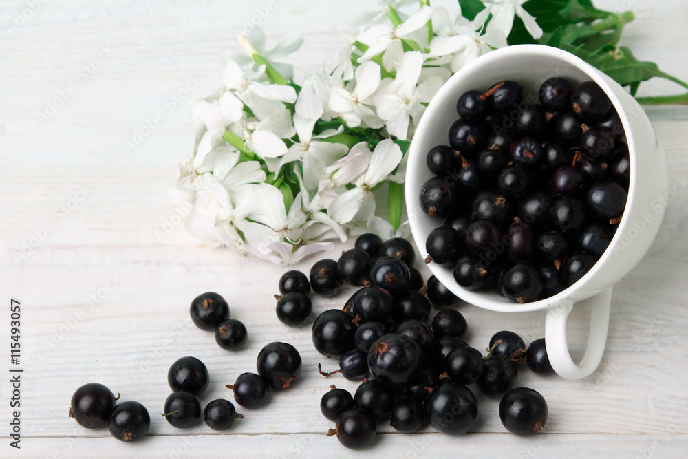black currants in bowl on white wooden background black currants in bowl on white wooden background