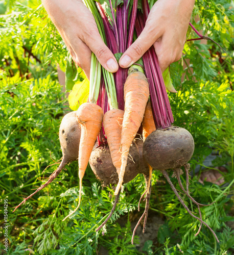 Beets and carrots