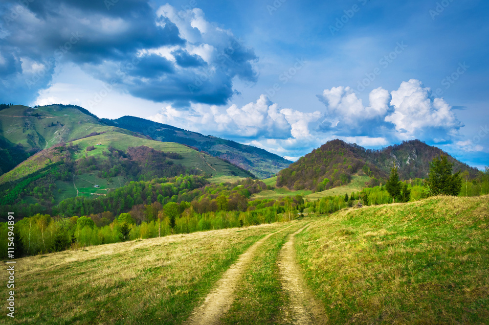 Fototapeta premium Road on the hills landscape