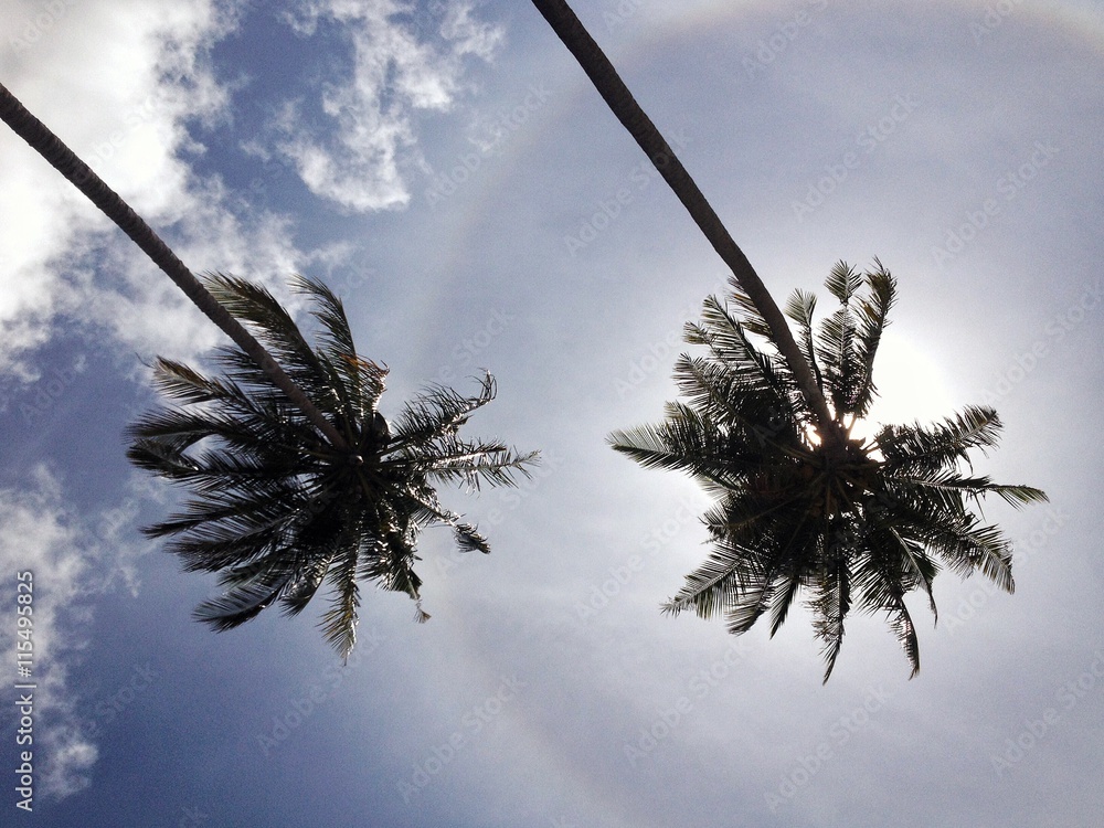 Fototapeta premium Wakacyjna perspektywa