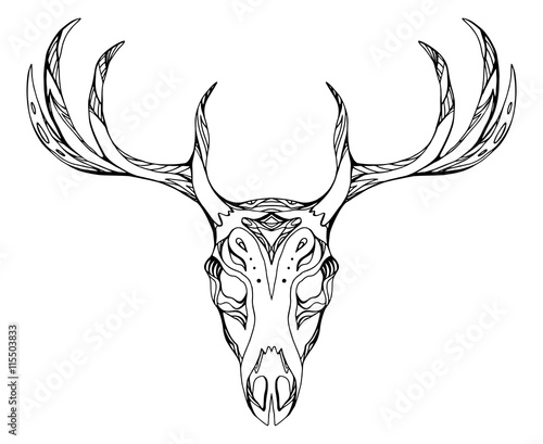 Contour illustration of a deer skull with antlers with boho pattern. Vector doodle element for printing on T-shirts, tattoo sketch, postcards and your creativity