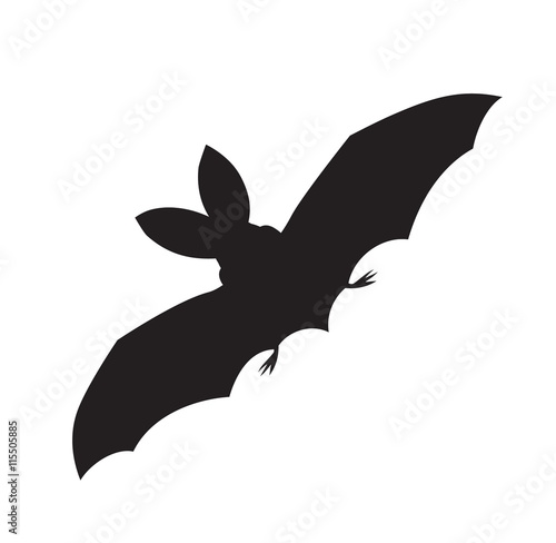 vector silhouette of a flying bat