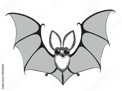 vector illustration funny bat