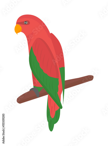 Cartoon parrots bird and parrot wild animal bird. Tropical parrot feather zoo...