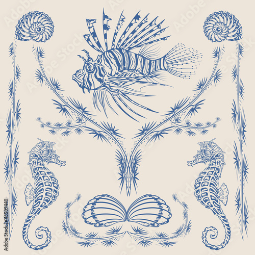 Sea life scetch. Tropikal fish, sea shell and seaweed hand draw vector illustration.

