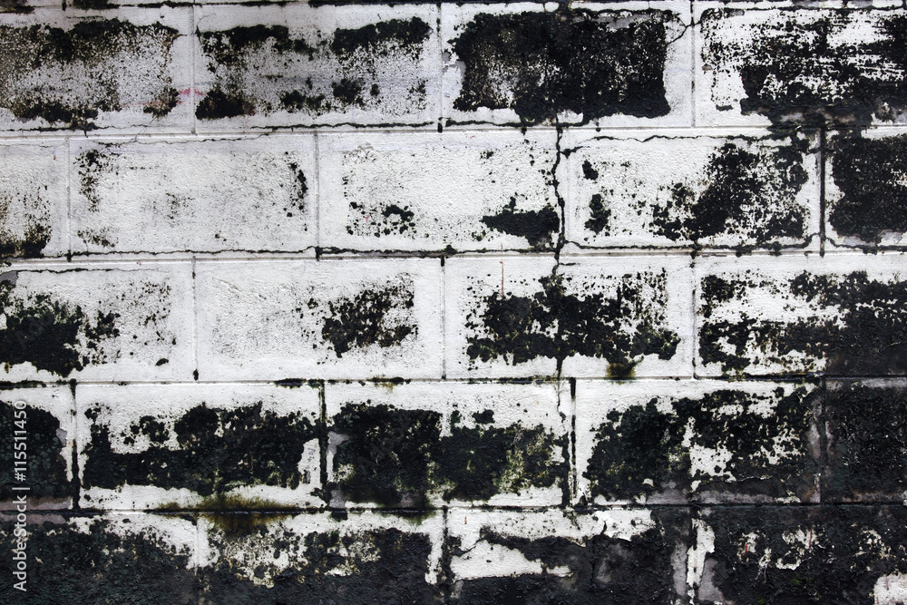 Obraz premium grunge brick wall