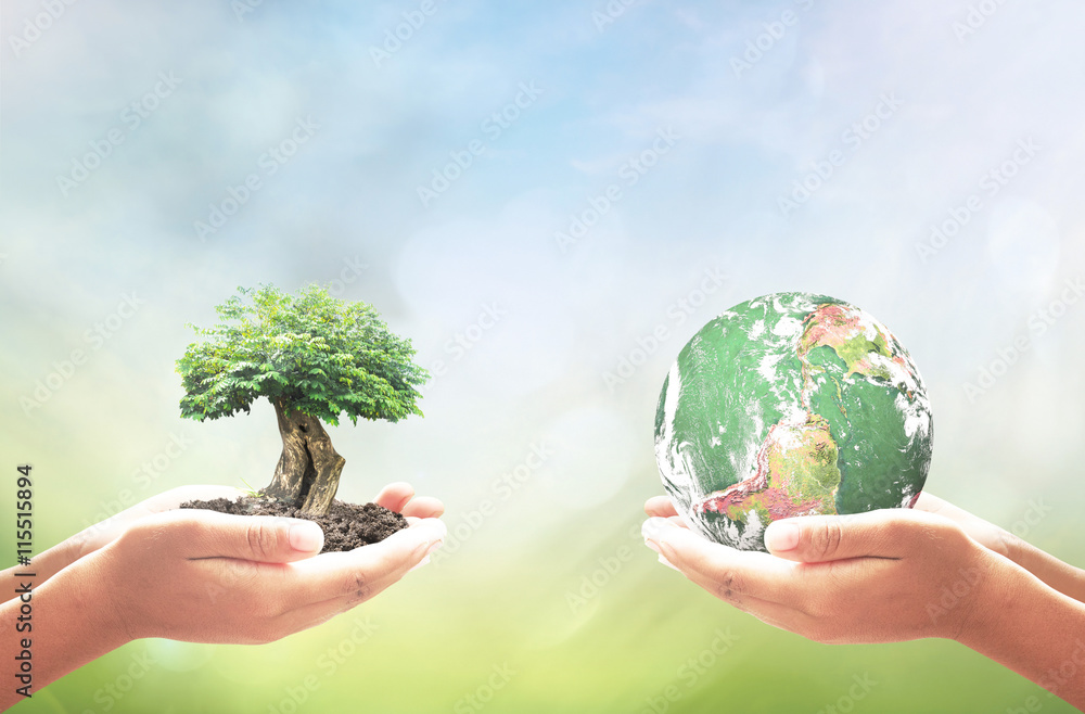 World environment day concept: Two human hand holding green earth globe and big tree over blurred nature background. Elements of this image furnished by NASA