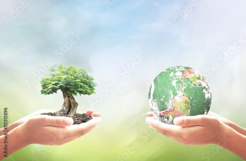 Fotografía Hands holding small tree and green globe on natural bokeh background, environmen