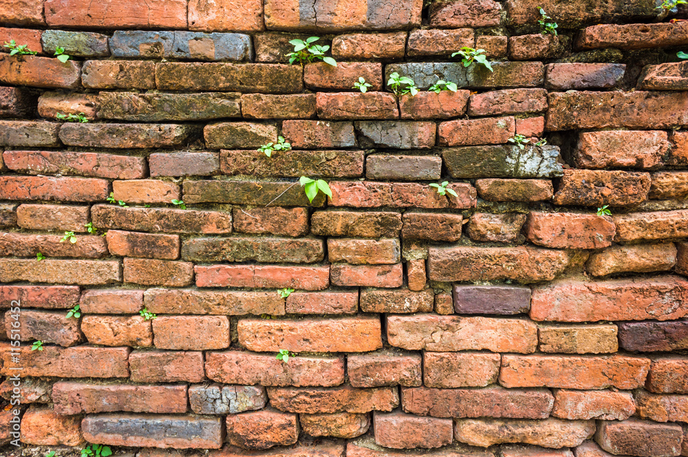 Obraz premium Religion old red brick wall texture