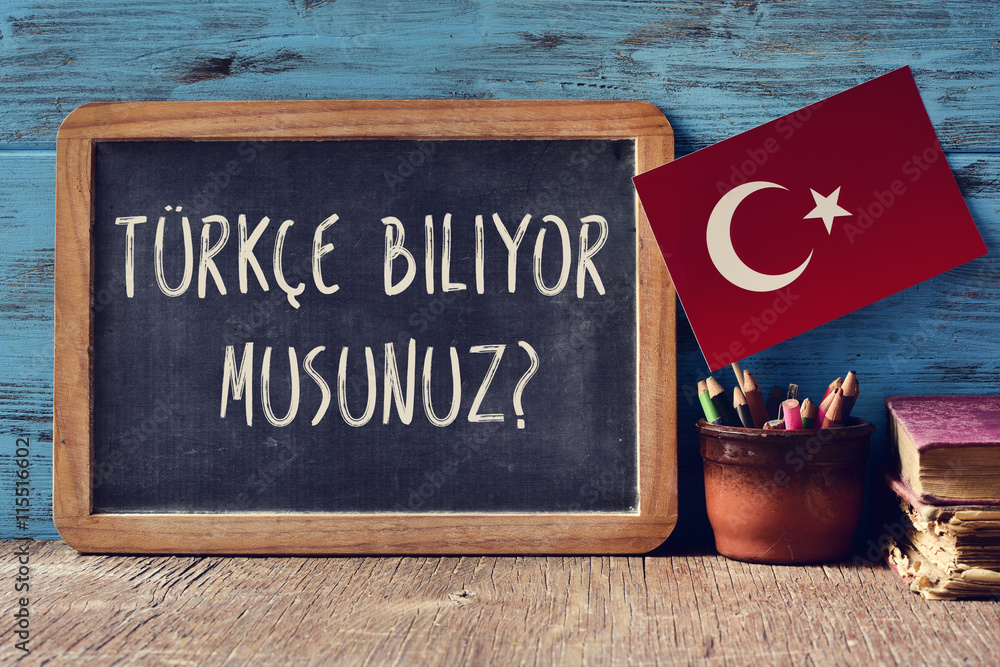 question do you speak Turkish? written in Turkish - obrazy, fototapety, plakaty 
