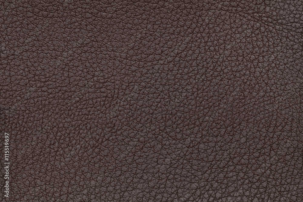 Brown leather texture background. Closeup photo. Reptile skin. Brown leather texture background. Closeup photo. Reptile skin.