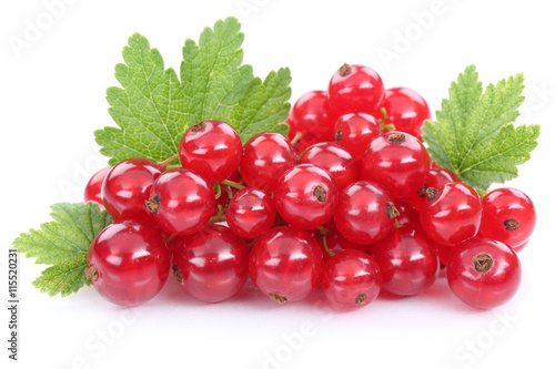 Rote Johannisbeeren Johannisbeere Früchte Beeren Obst Freistell