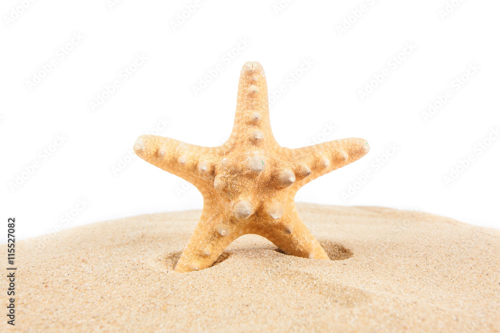 Starfish on the Sand. Vacation concept Starfish on the Sand. Vacation concept