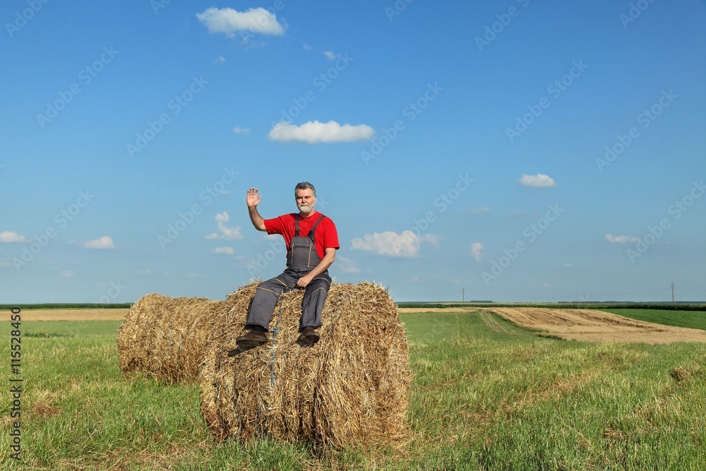 Farmer sitting at bale of hay in field and waving Farmer sitting at bale of hay in field and waving