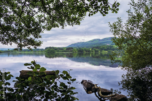 Looking out through the trees to Lake of Menteith