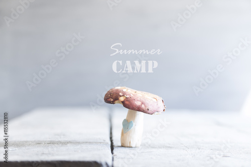 summer camp idea