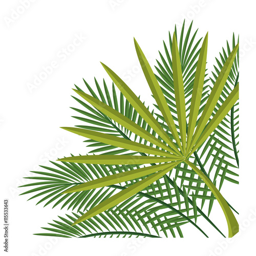 Nature plant and ecology theme design, vector illustration graphic design.