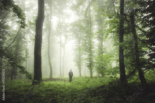 man in green woods