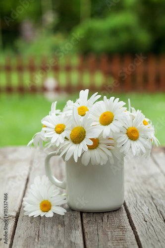 Fototapeta Naklejka Na Ścianę i Meble -  Daisy chamomile flowers