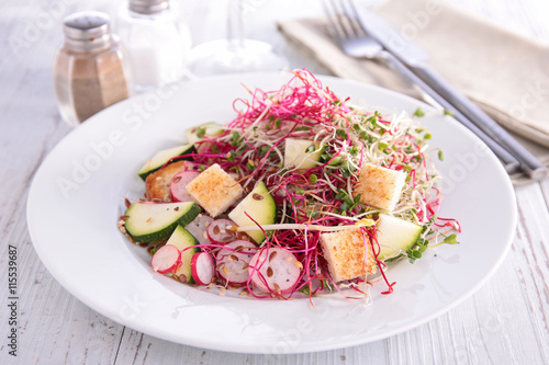 vegan salad with toffu