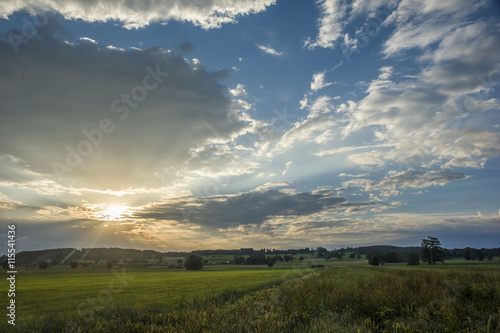 sunrise on the field