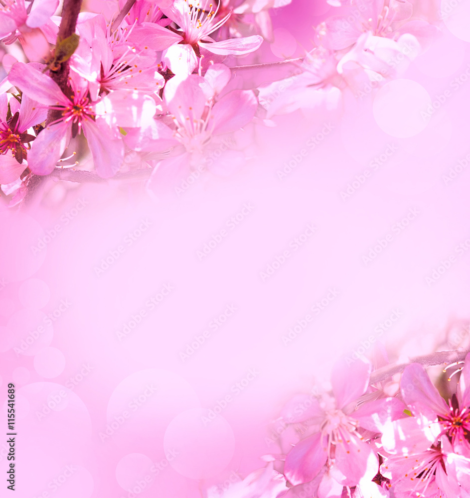 pink abstract background with blooming apple tree
