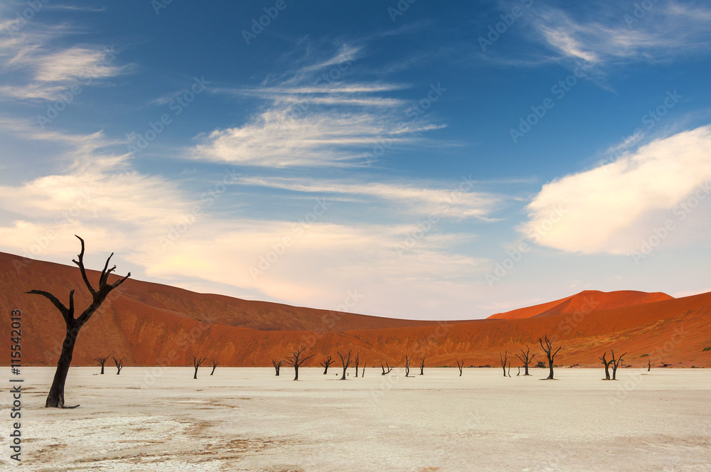 Dead trees and red dunes in the Dead Vlei, Sossusvlei, Namibia Dead trees and red dunes in the Dead Vlei, Sossusvlei, Namibia