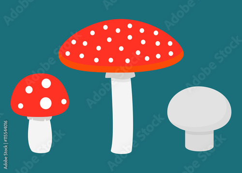 Flat set of different mushrooms. Vector illustration.