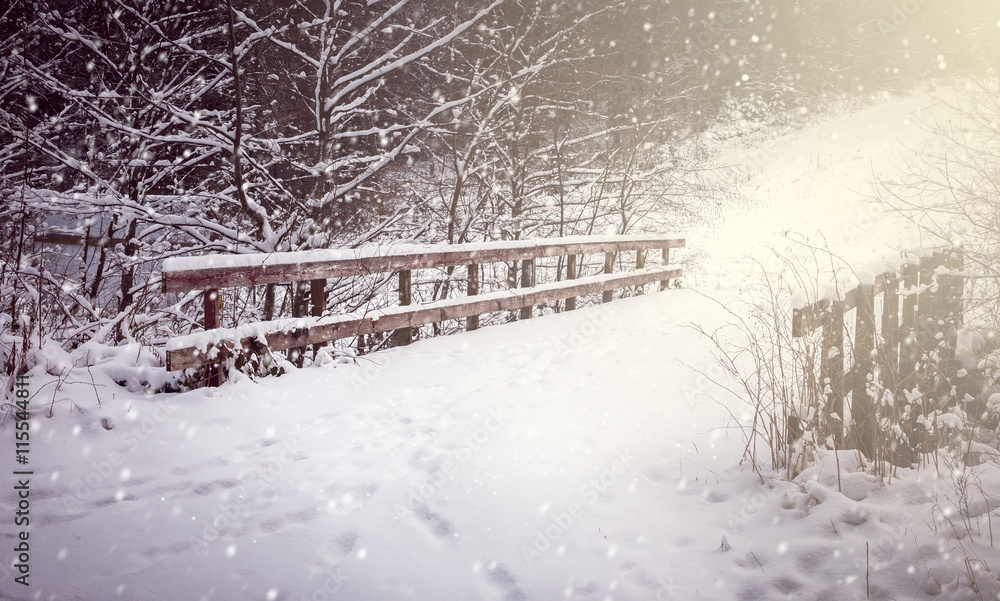 Forest bridge in winter Forest bridge in winter