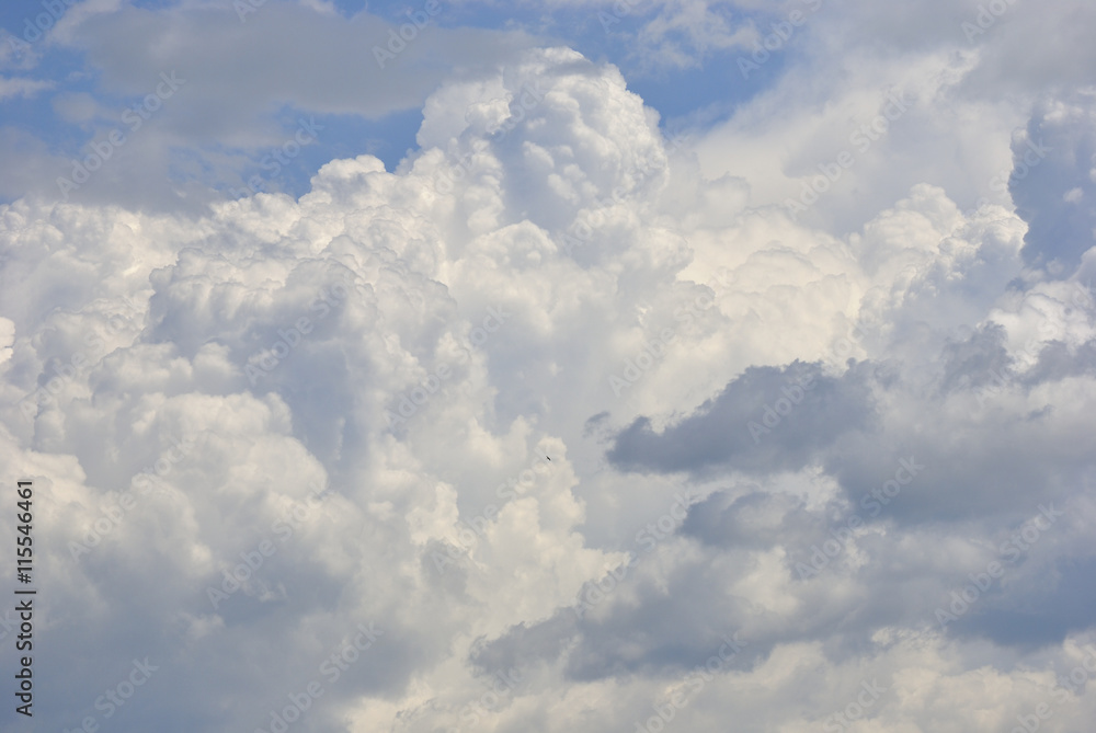 Naklejka premium White puffy clouds in the sky.