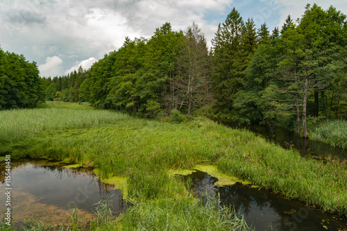 Picturesque river Rospuda, Poland