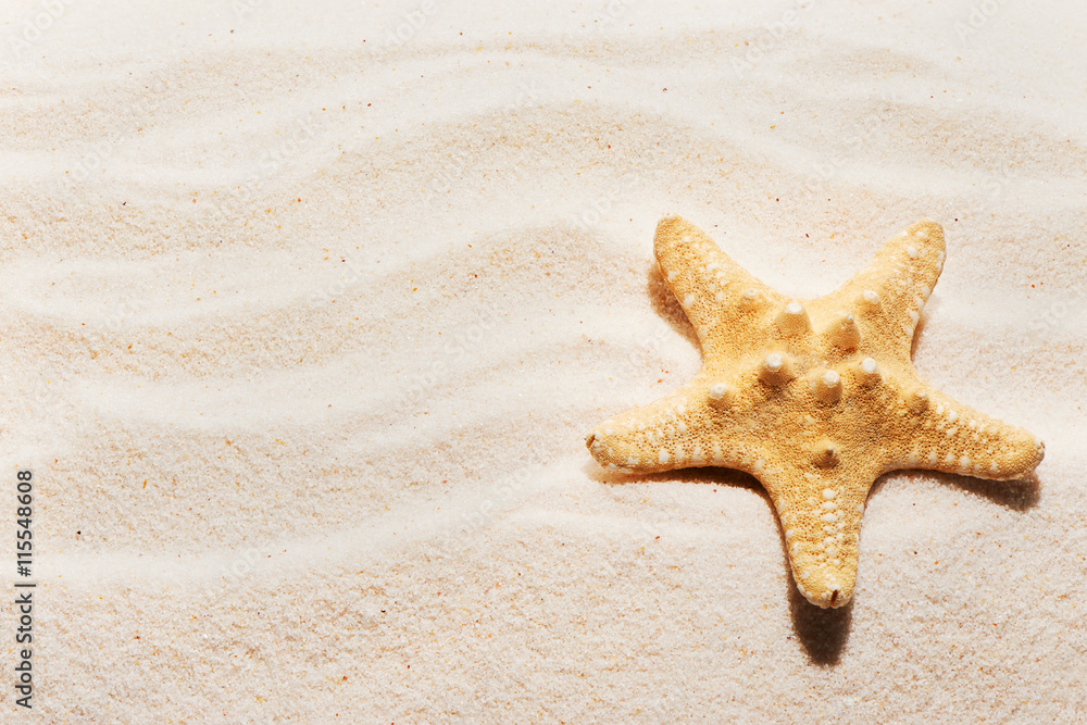 Starfish on sand with marks of waves. Summer beach background Starfish on sand with marks of waves. Summer beach background