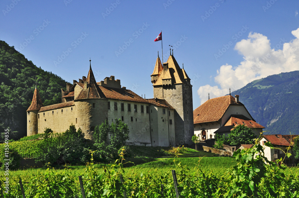 Il castello di Aigle, Cantone di Vaud - Svizzera