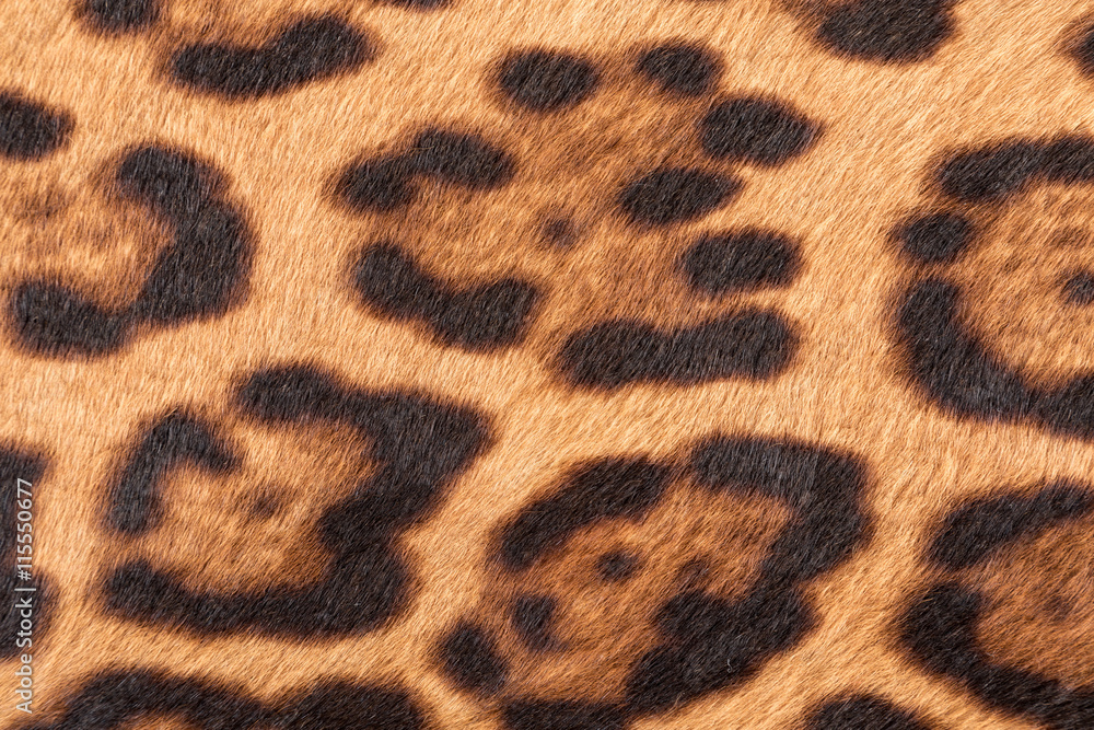Naklejka premium Faux leopard fur