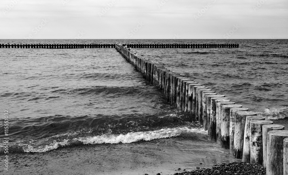 Baltic Sea. Black and white.