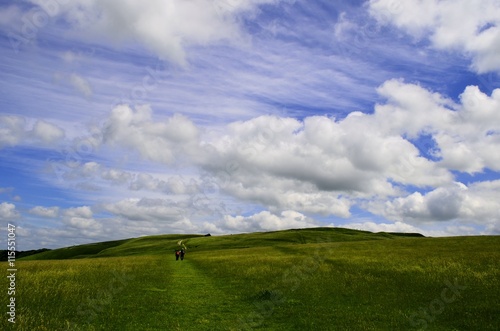 A Walk on the Downs